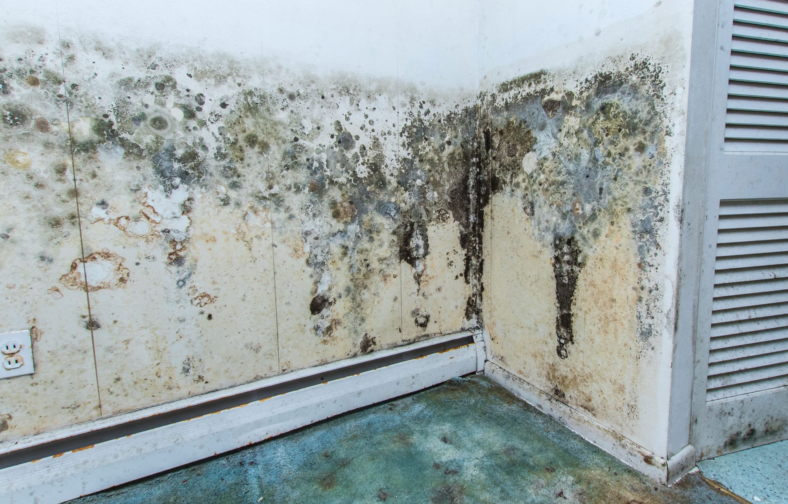 residential mold removal experts in Lancaster